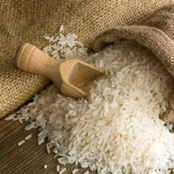 Rice